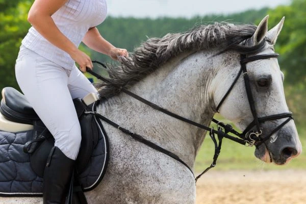 Horse riding - non surgical body toning treatment