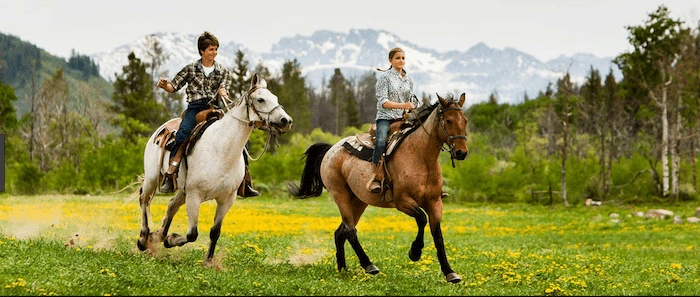 Confident plus-size woman riding Chester a horse through a field with a smile on her face.